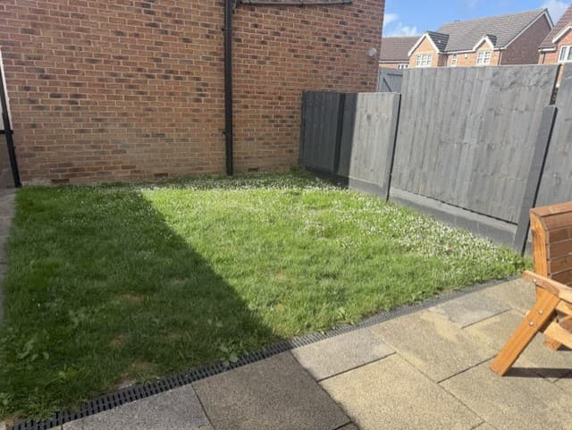 Artifical Grass S21