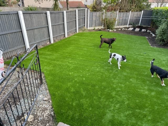 Artificial Grass Installation Grenoside